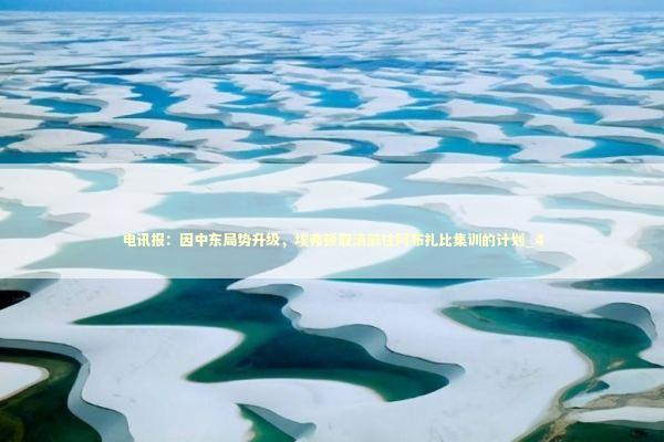 电讯报：因中东局势升级，埃弗顿取消前往阿布扎比集训的计划_4