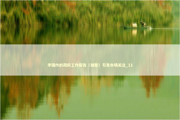 李强作的政府工作报告（摘登）引发市场关注_11