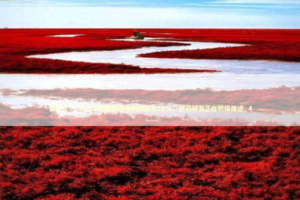 吉贝尔：2025年业绩快报净利润增长18%，新药研发正在积极推进_4