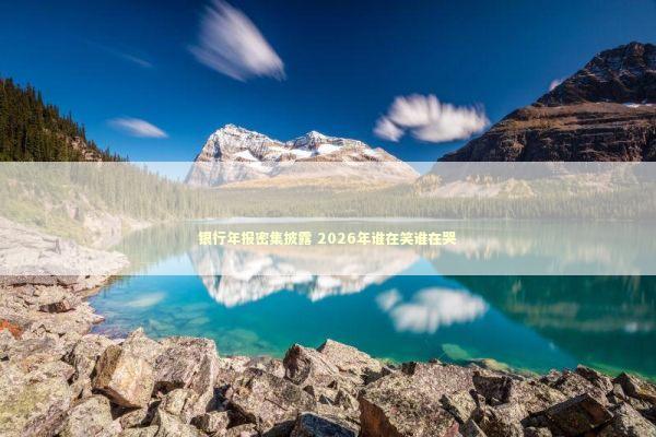 银行年报密集披露 2026年谁在笑谁在哭