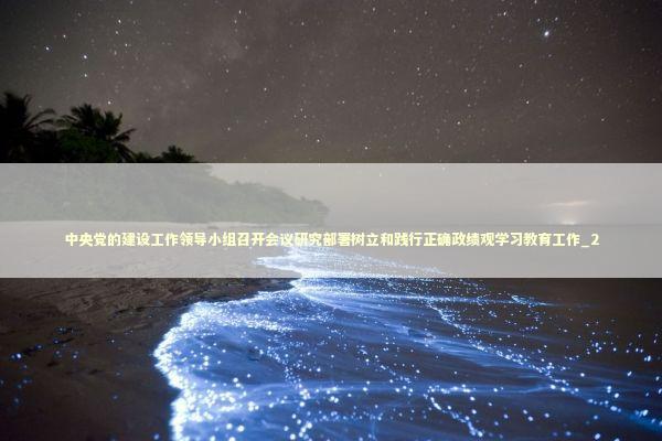 中央党的建设工作领导小组召开会议研究部署树立和践行正确政绩观学习教育工作_2