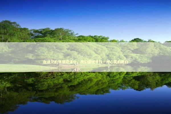 在迷茫的情感沼泽中，我们尝试寻找一种心灵的出口