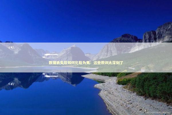数据丢失后如何化险为夷：这些教训太深刻了
