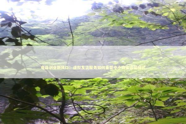 电商创业新风口:虚拟发货服务如何重塑中小商家运营模式 电商创业新风口:虚拟发货服务如何重塑中小商家运营模式 企业服务
